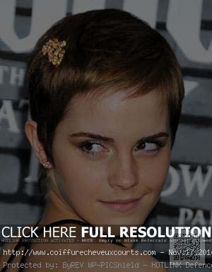 coiffure-courte-visage-rond-2012.jpg